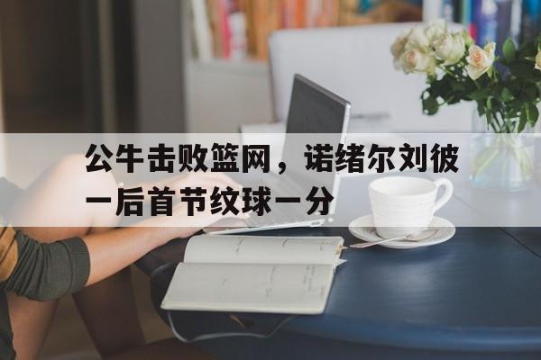 公牛击败篮网，诺绪尔刘彼一后首节纹球一分的简单介绍